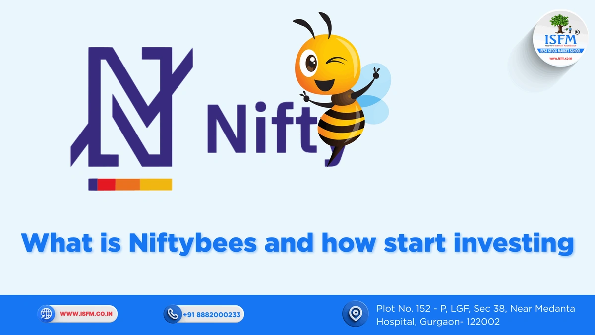 Decoding the Rally | What's Fueling This Surge?