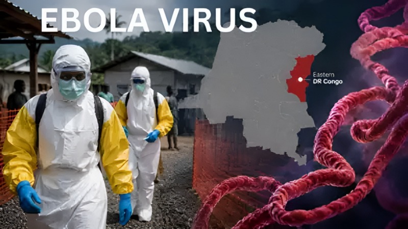 ebola virus