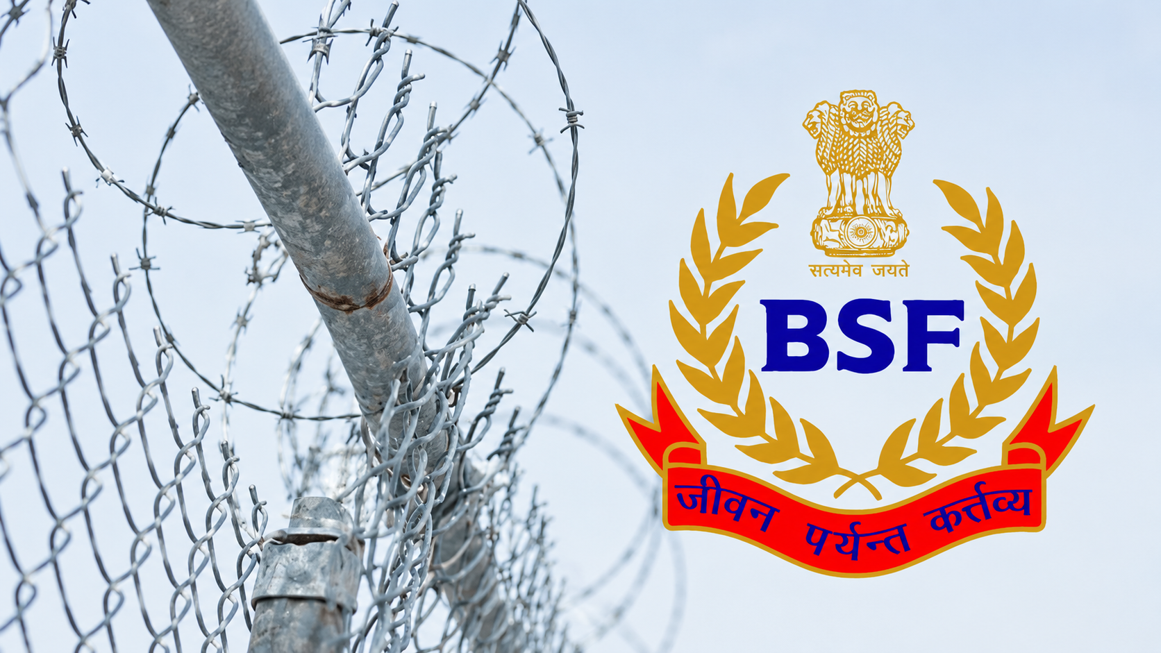 bsf